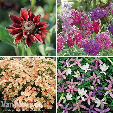 Summer Bedding Collection - Image 3