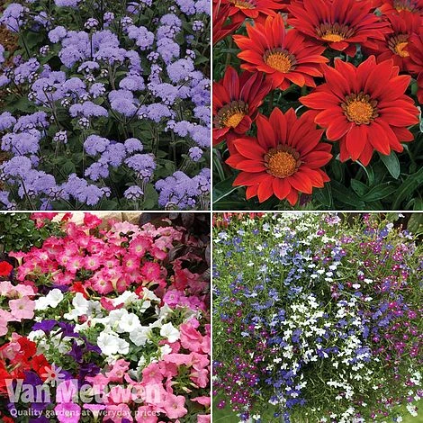 Summer Bedding Collection - Image 4